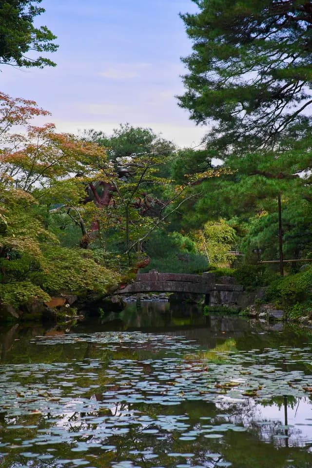 Autumn trees reflected in a garden pond in Kyoto