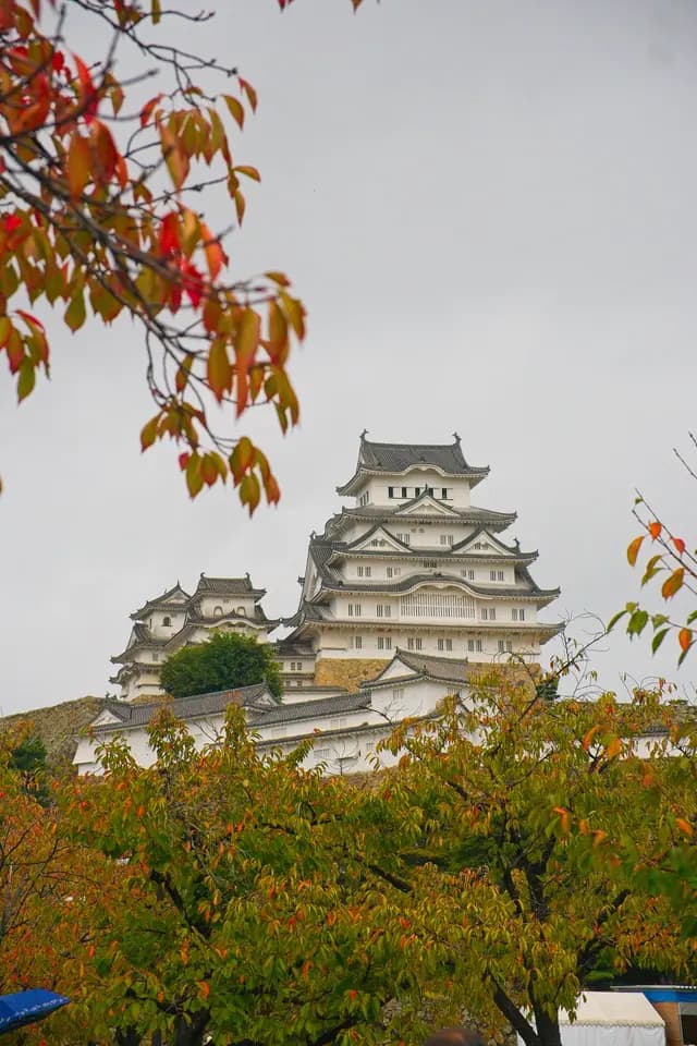 Himeji Castle above the autumn trees